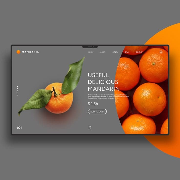 UI/UX Design Excellence