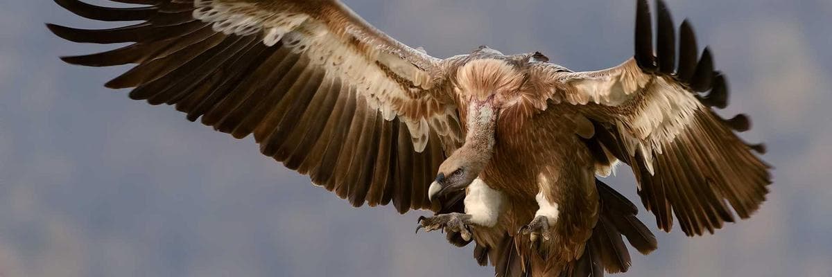 Ready to start your project?